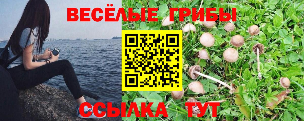Галлюциногенные грибы GOLDEN TEACHER Полевской