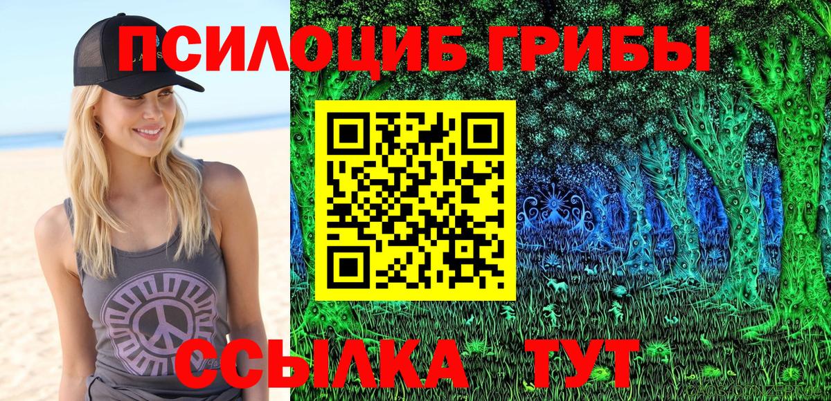 Полевской  наркотики  Вход с VPN  Псилоцибиновые грибы прущие грибы  Галлюциногенные грибы мицелий 